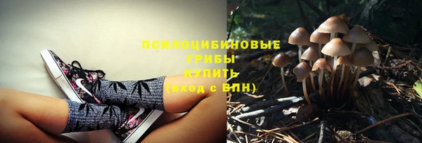 Альфа ПВП Аркадак