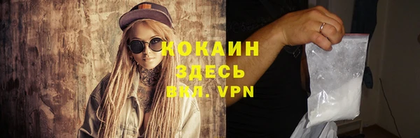 гашик Арсеньев