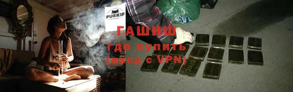 гашик Арсеньев