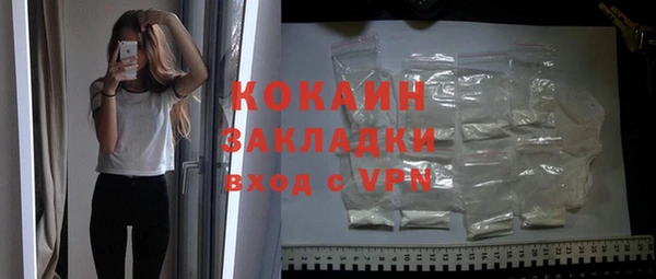 гашик Арсеньев