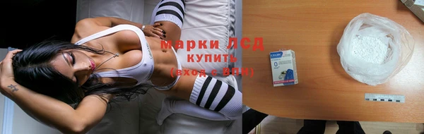 гашик Арсеньев