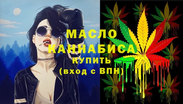 гашик Арсеньев