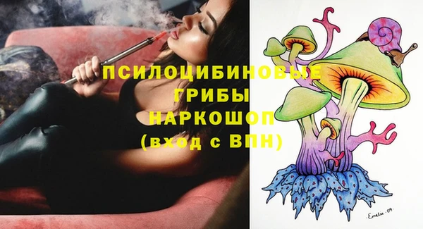 гашик Арсеньев